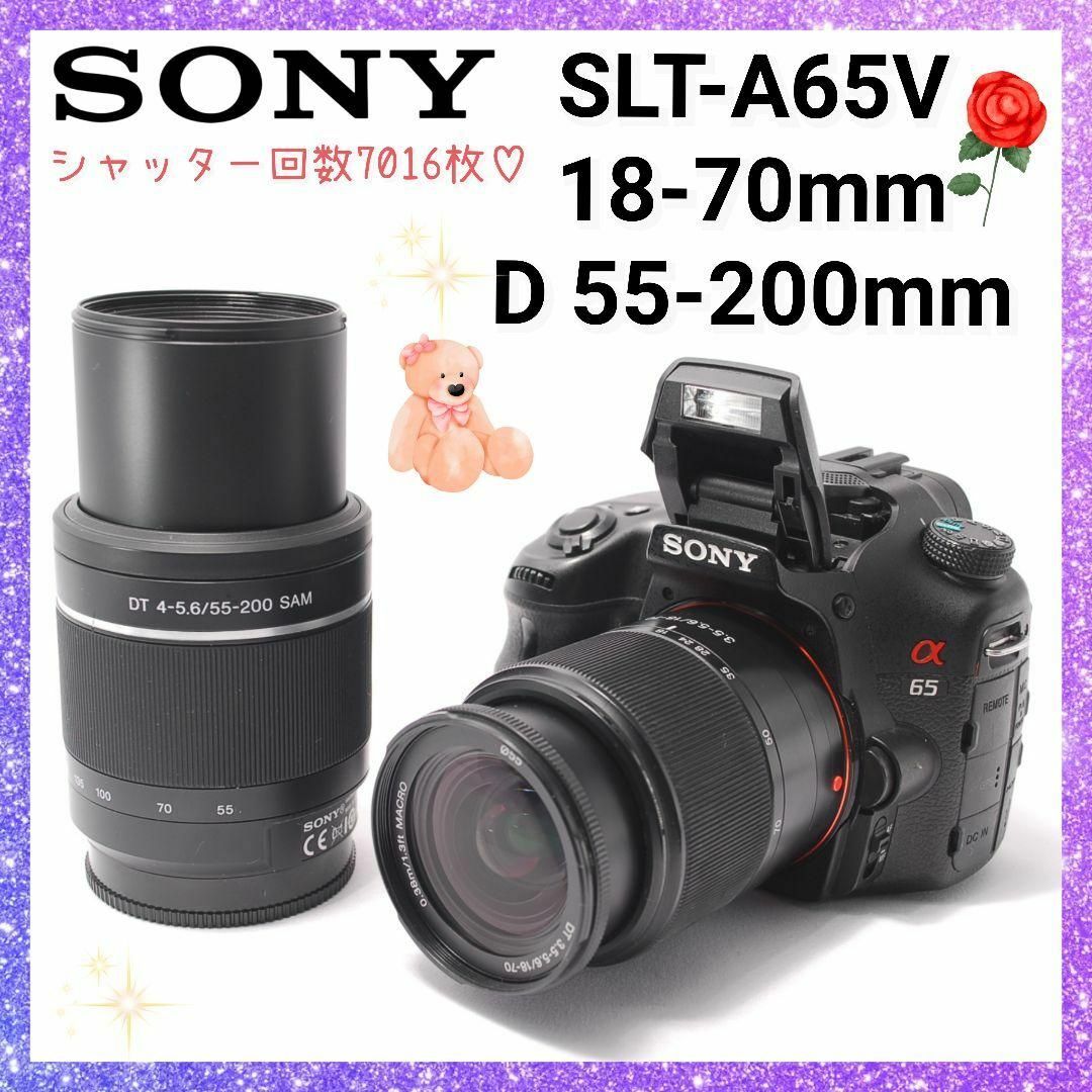 SONY - ❤即購入1000円OFF❤ ソニー SONY α65 息づく緑、光と影 SONY - ❤即購入1000円OFF❤ ソニー SONY α65 息づく緑、光と影