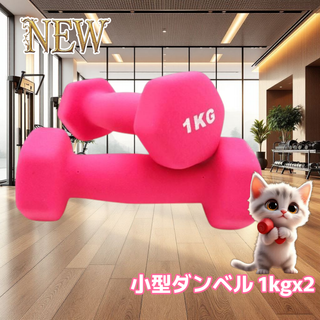 #558 小型 ダンベル 1kg 2個セット ピンク ※北海道沖縄離島配送料別(トレーニング用品)