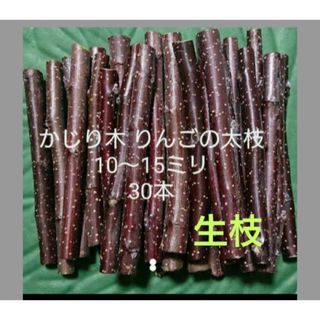 最新情報 うさぎケージ.フード3.チモシー2.消臭.詰め替え掃除スプレの通販 ケージ・アクセサリー