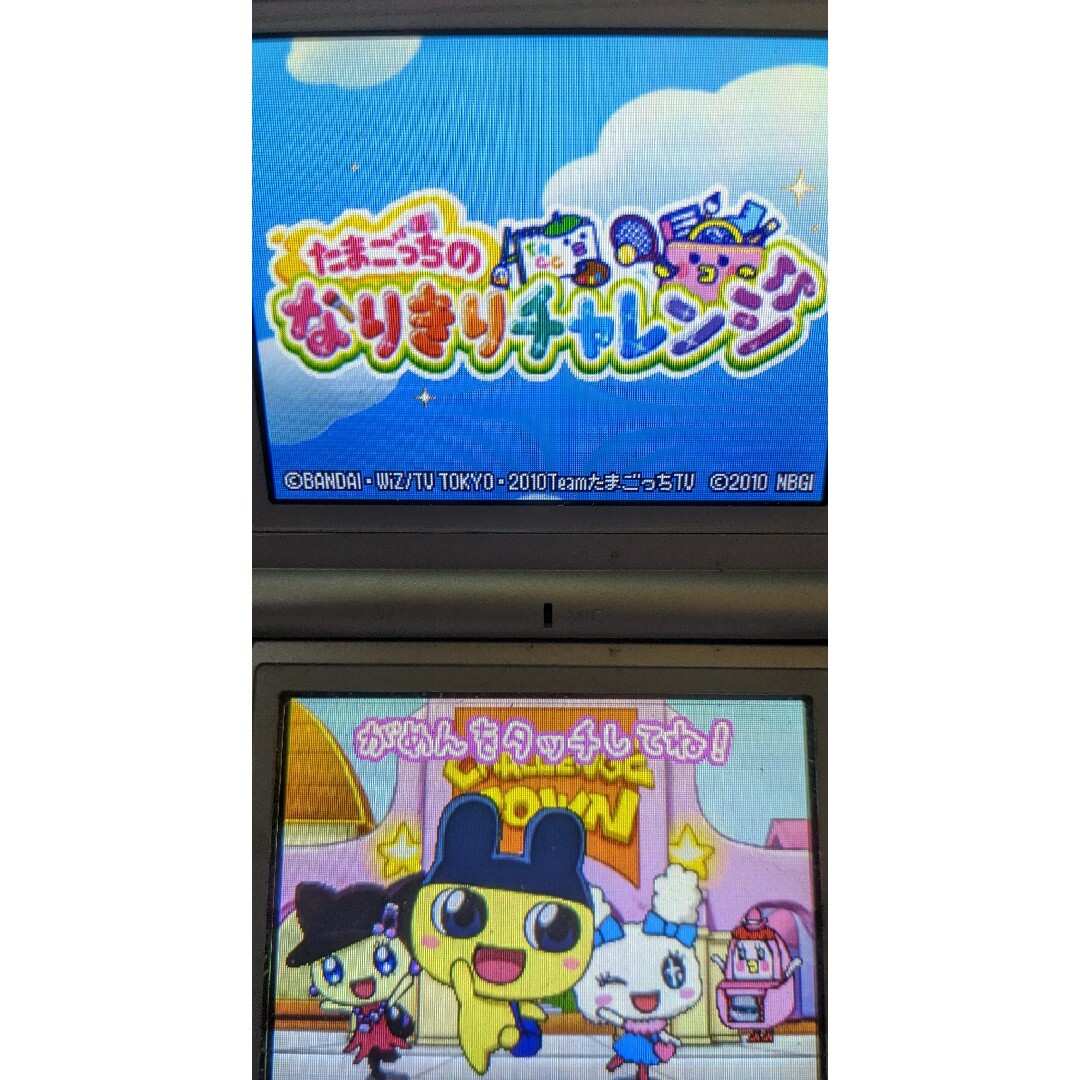 ニンテンドーDS - たまごっちのプチプチおみせっち ピチピチおみ ニンテンドーDS - たまごっちのプチプチおみせっち ピチピチおみ