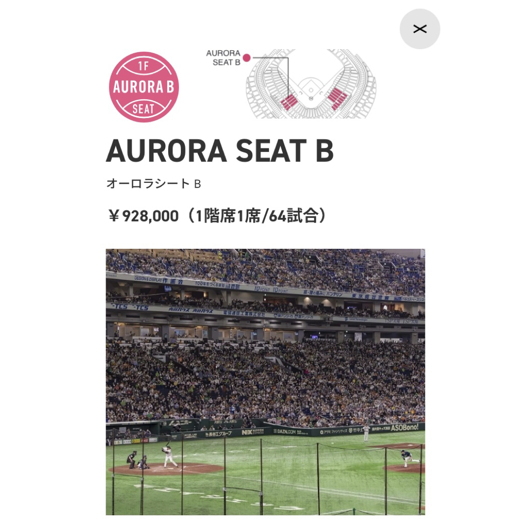読売ジャイアンツ - 【オーロラシートB】プロ野球ペアチケット 読売ジャイアンツ - 【オーロラシートB】プロ野球ペアチケット