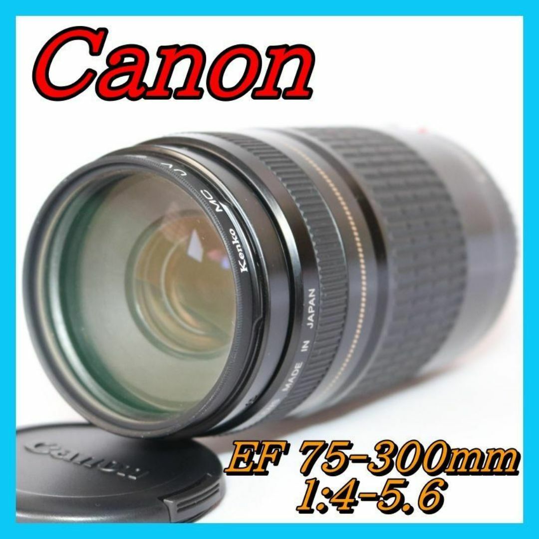 口コミ サイト 商品 望遠レンズ ⭐一眼レフ F4-5.6 75-300mm EF Canon レンズ(ズーム)