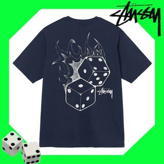 STUSSY - 【入手困難!!】ステューシー ✈︎バックロゴ ゆるだぼ STUSSY - 【入手困難!!】ステューシー ✈︎バックロゴ ゆるだぼ