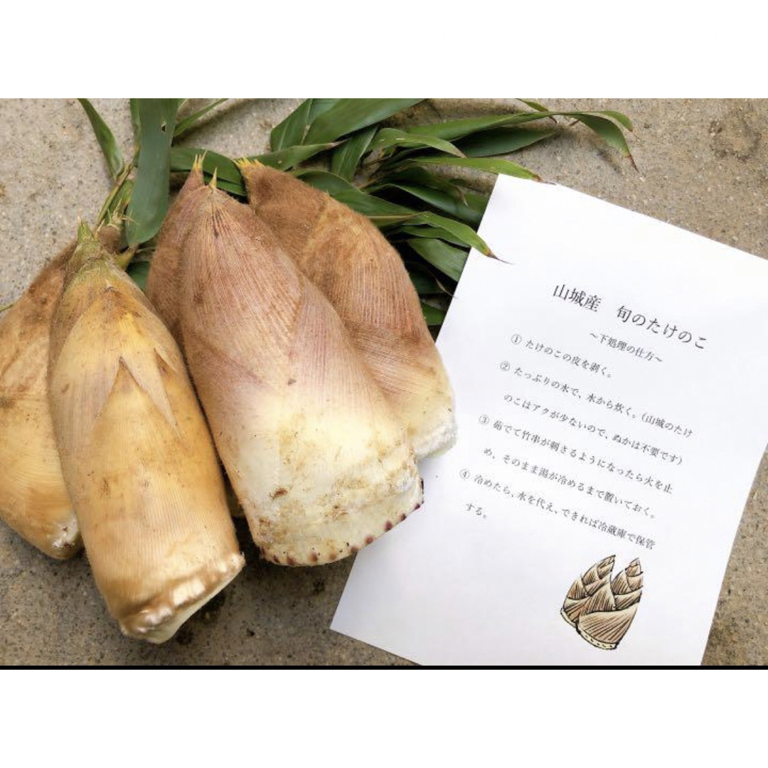 京都山城産☆たけのこ4kg 【着払いクール便】の通販 by ぴかりん 京都山城産☆たけのこ4kg 【着払いクール便】の通販 by ぴかりん