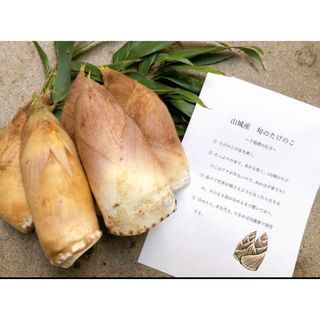 京都山城産☆たけのこ4kg 【着払いクール便】の通販 by ぴかりん 京都山城産☆たけのこ4kg 【着払いクール便】の通販 by ぴかりん