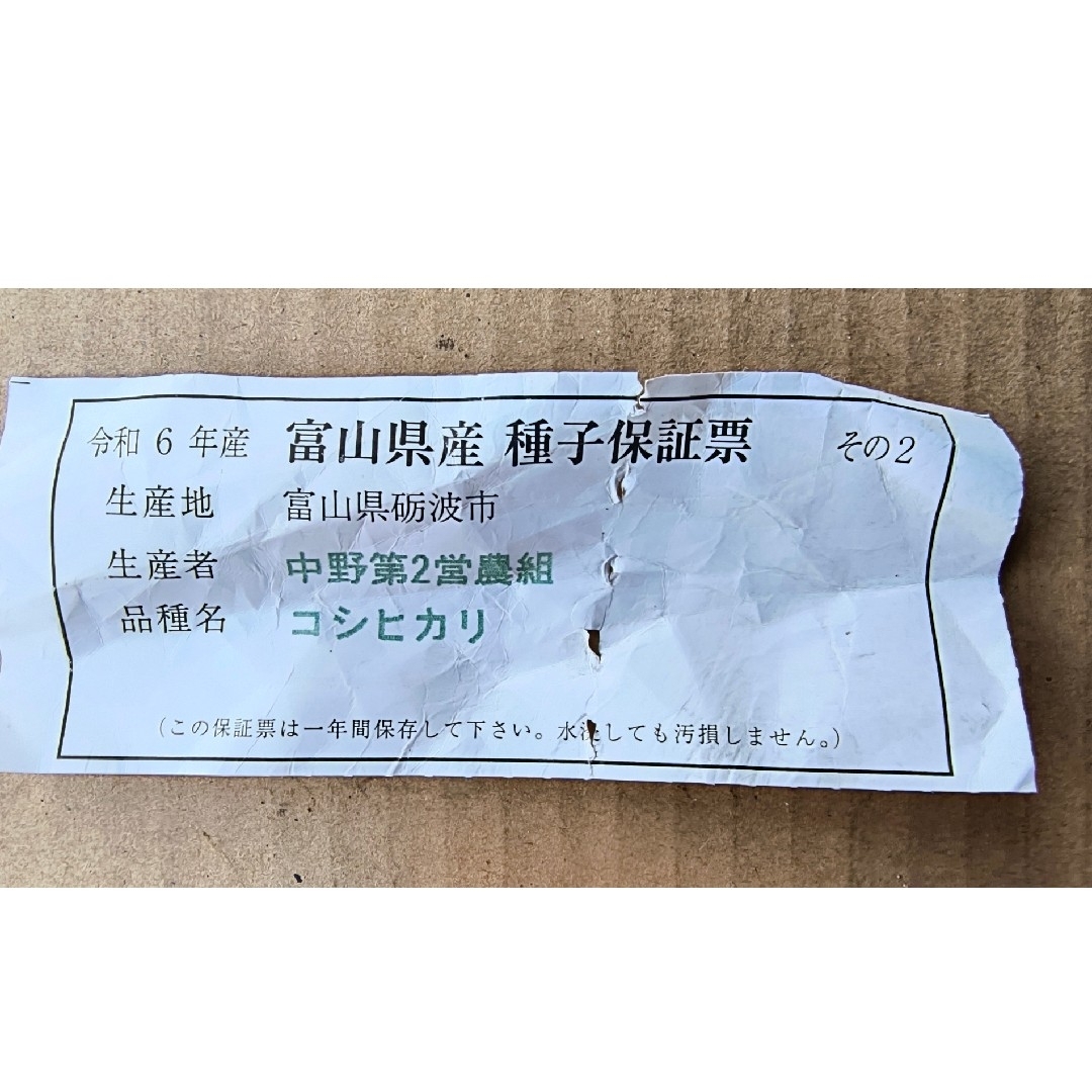 種籾 30㌘ コシヒカリ 米種子(消毒済み)の通販 by チーバ's 種籾 30㌘ コシヒカリ 米種子(消毒済み)の通販 by チーバ's