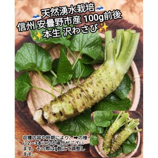 100g前後 信州 安曇野 本わさび 生ワサビ あづみ野 山葵 沢 100g前後 信州 安曇野 本わさび 生ワサビ あづみ野 山葵 沢