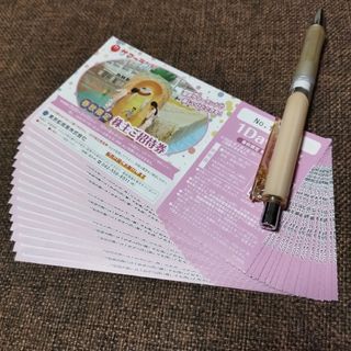 最新☆2枚・東京サマーランド株主ご招待券(夏期使用可)・送料 最新☆2枚・東京サマーランド株主ご招待券(夏期使用可)・送料