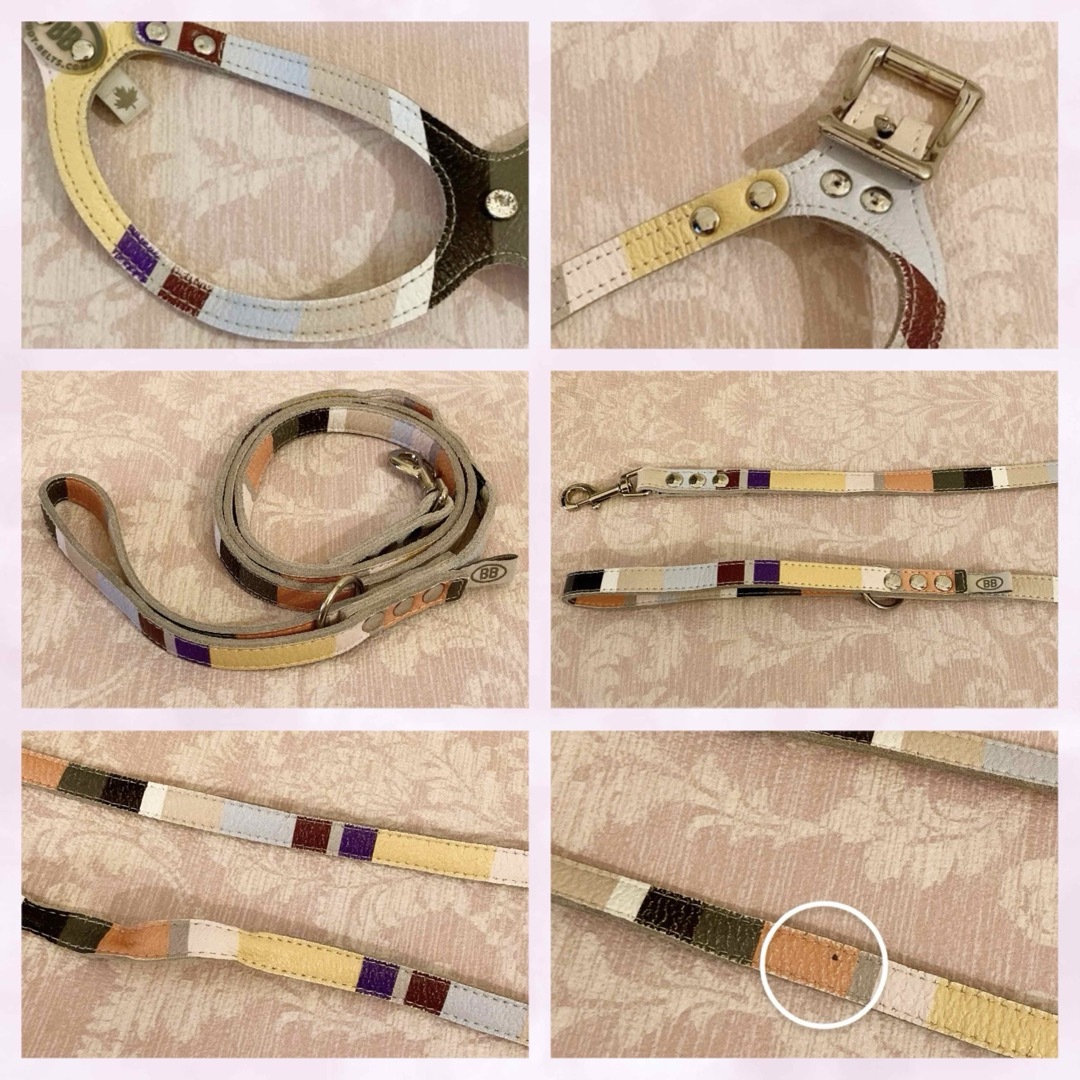 BUDDY BELTS バディベルト ハーネス 4号+リード セット*モッド BUDDY BELTS バディベルト ハーネス 4号+リード セット*モッド