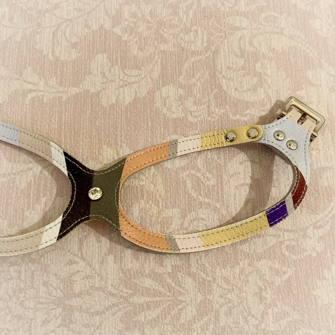BUDDY BELTS バディベルト ハーネス 4号+リード セット*モッド BUDDY BELTS バディベルト ハーネス 4号+リード セット*モッド