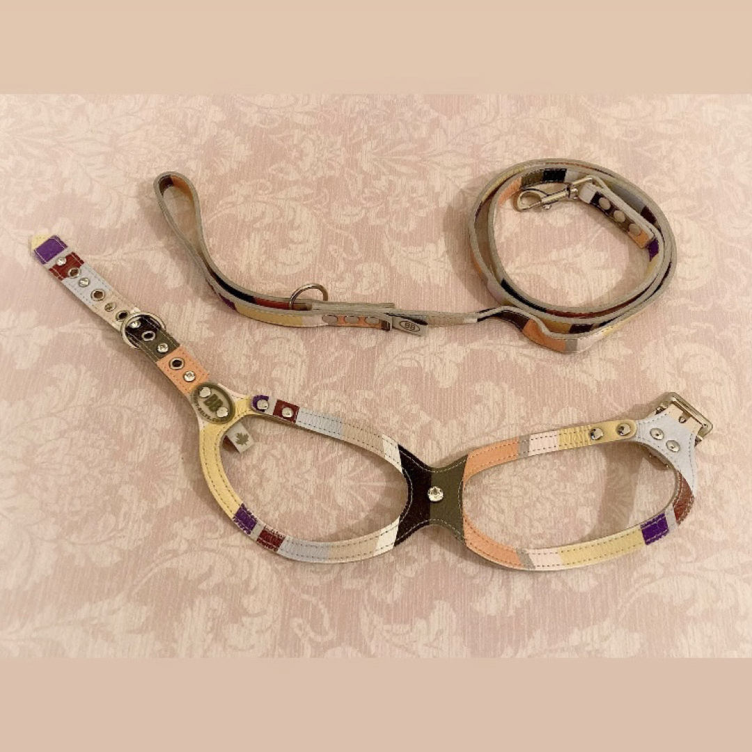 BUDDY BELTS バディベルト ハーネス 4号+リード セット*モッド BUDDY BELTS バディベルト ハーネス 4号+リード セット*モッド