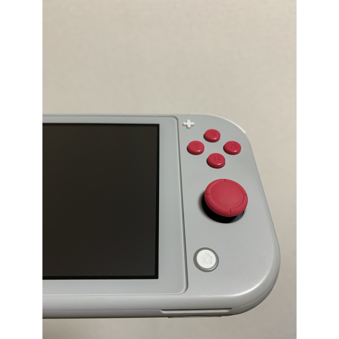 Nintendo Switch - Nintendo Switch Lite ザシアン ザマゼンタ Nintendo Switch - Nintendo Switch Lite ザシアン ザマゼンタ