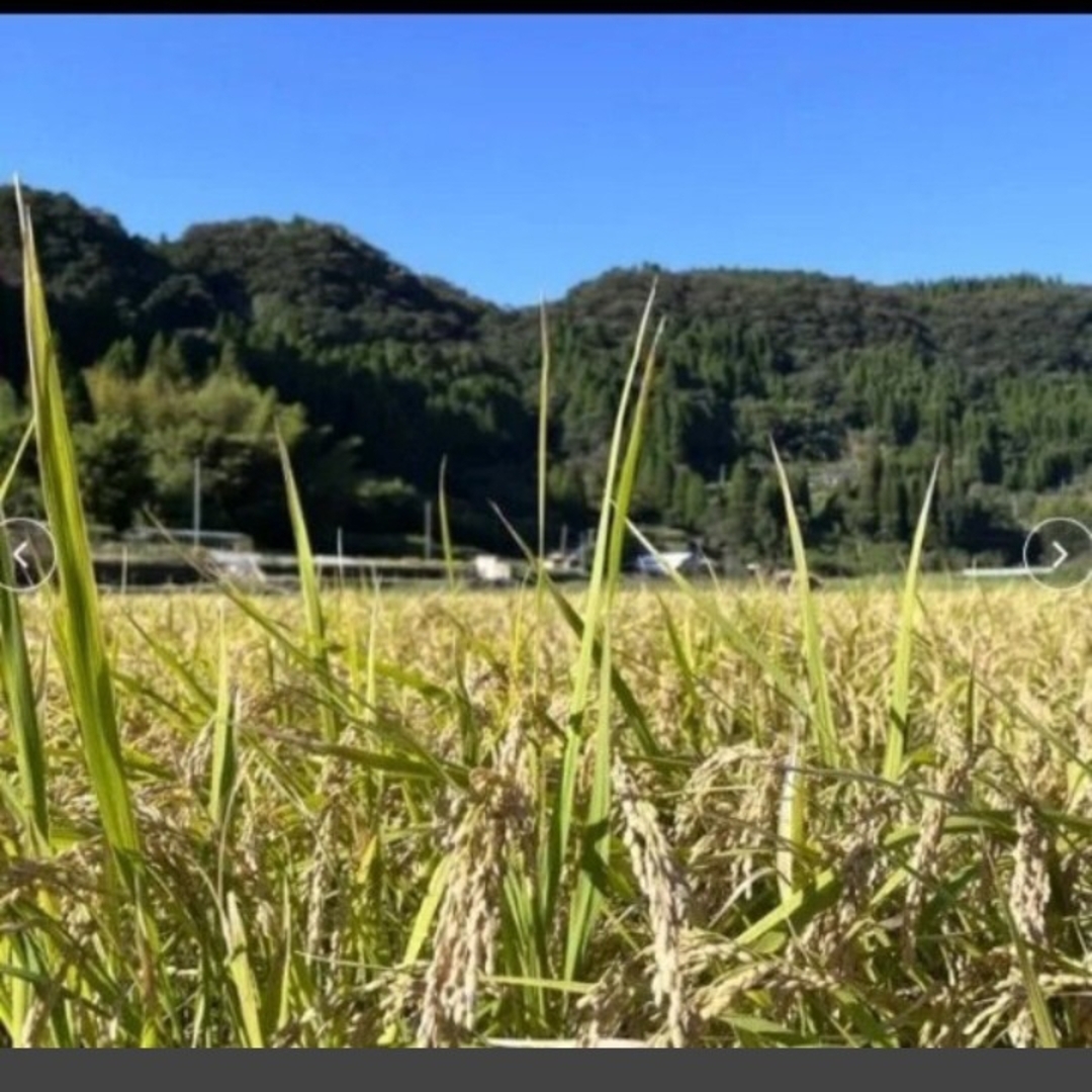 吾妻の輝き コシヒカリ 玄米 20kg　10kg×2袋　全国送料無料