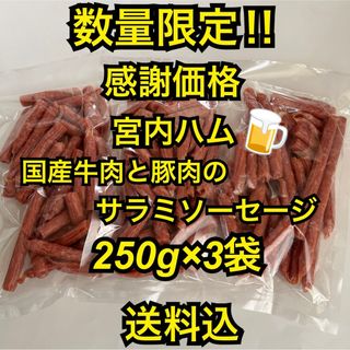感謝価格　大人気‼️宮内ハム　国産牛肉と豚肉のサラミソーセージ250g×3袋(その他)