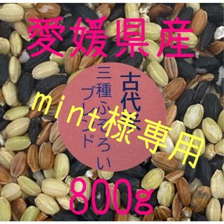 mint様専用　古代米3種ふぞろいブレンド　愛媛県産　800ｇ(米/穀物)