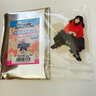 FANTASTICS from EXILE TRIBE - 中島颯太 アクリルスタンド FANTASTICS from EXILE TRIBE - 中島颯太 アクリルスタンド