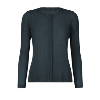 PLEATS PLEASE ISSEY MIYAKE - PLEATS PLEASE メッシュ プリーツ PLEATS PLEASE ISSEY MIYAKE - PLEATS PLEASE メッシュ プリーツ