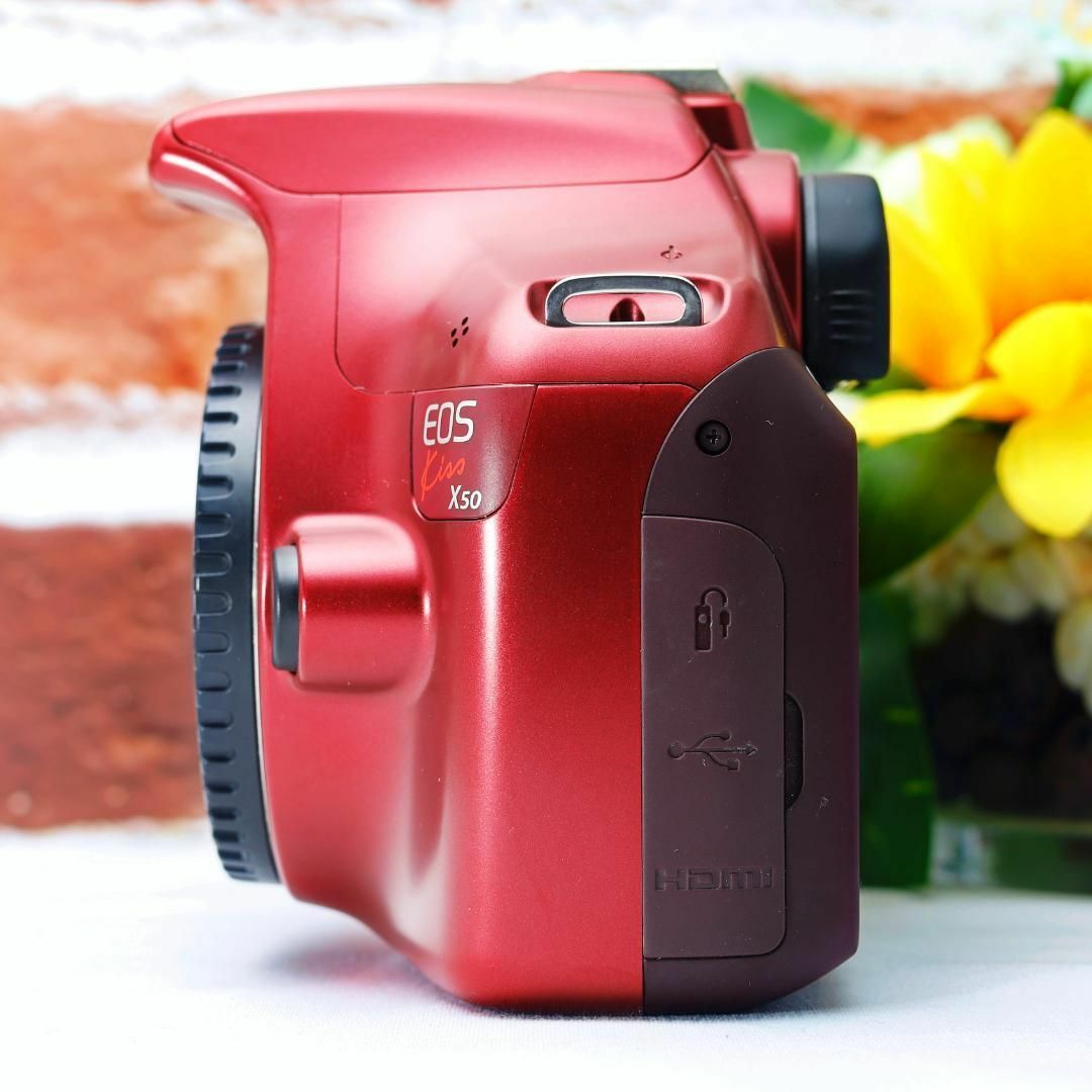 Canon - ✨奇跡のショット数11枚極上品✨Canon Kiss X50✨望遠 Canon - ✨奇跡のショット数11枚極上品✨Canon Kiss X50✨望遠