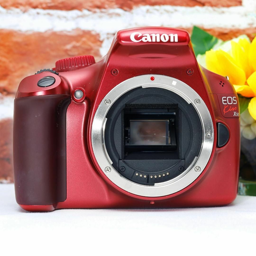 Canon - ✨奇跡のショット数11枚極上品✨Canon Kiss X50✨望遠 Canon - ✨奇跡のショット数11枚極上品✨Canon Kiss X50✨望遠