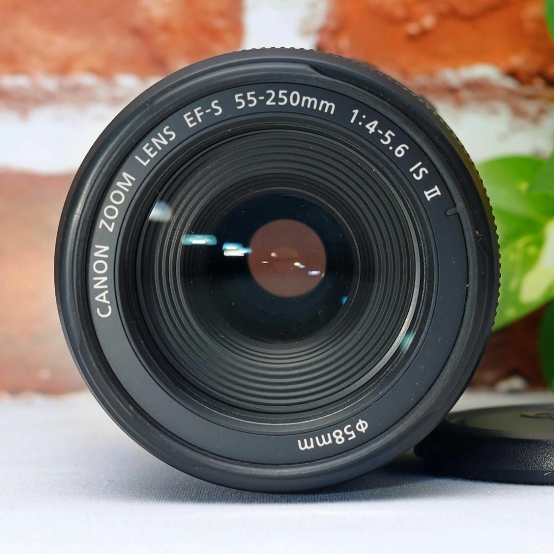 Canon - ✨奇跡のショット数11枚極上品✨Canon Kiss X50✨望遠 Canon - ✨奇跡のショット数11枚極上品✨Canon Kiss X50✨望遠