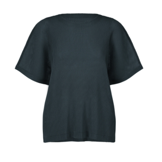 PLEATS PLEASE ISSEY MIYAKE(Tシャツ(半袖/袖なし))のフリマ PLEATS PLEASE ISSEY MIYAKE(Tシャツ(半袖/袖なし))のフリマ