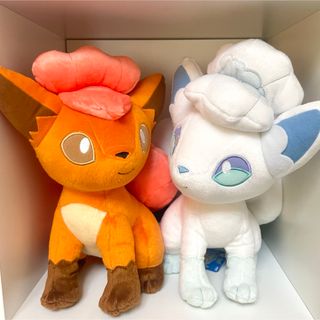 ポケモン - ポケドール ライコウドール ポケモンぬいぐるみ ポケモン - ポケドール ライコウドール ポケモンぬいぐるみ