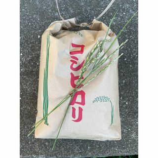 着色米 くず米 25kg 米・雑穀 鳥の餌 飼料 お得 安い おすすめの 着色米 くず米 25kg 米・雑穀 鳥の餌 飼料 お得 安い おすすめの
