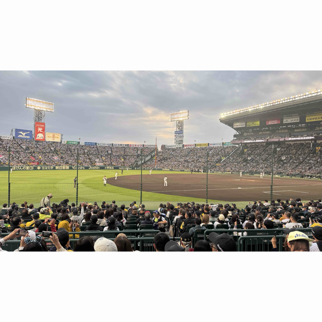 阪神タイガース - 阪神タイガース 甲子園 5月9日 ペア チケット 阪神タイガース - 阪神タイガース 甲子園 5月9日 ペア チケット
