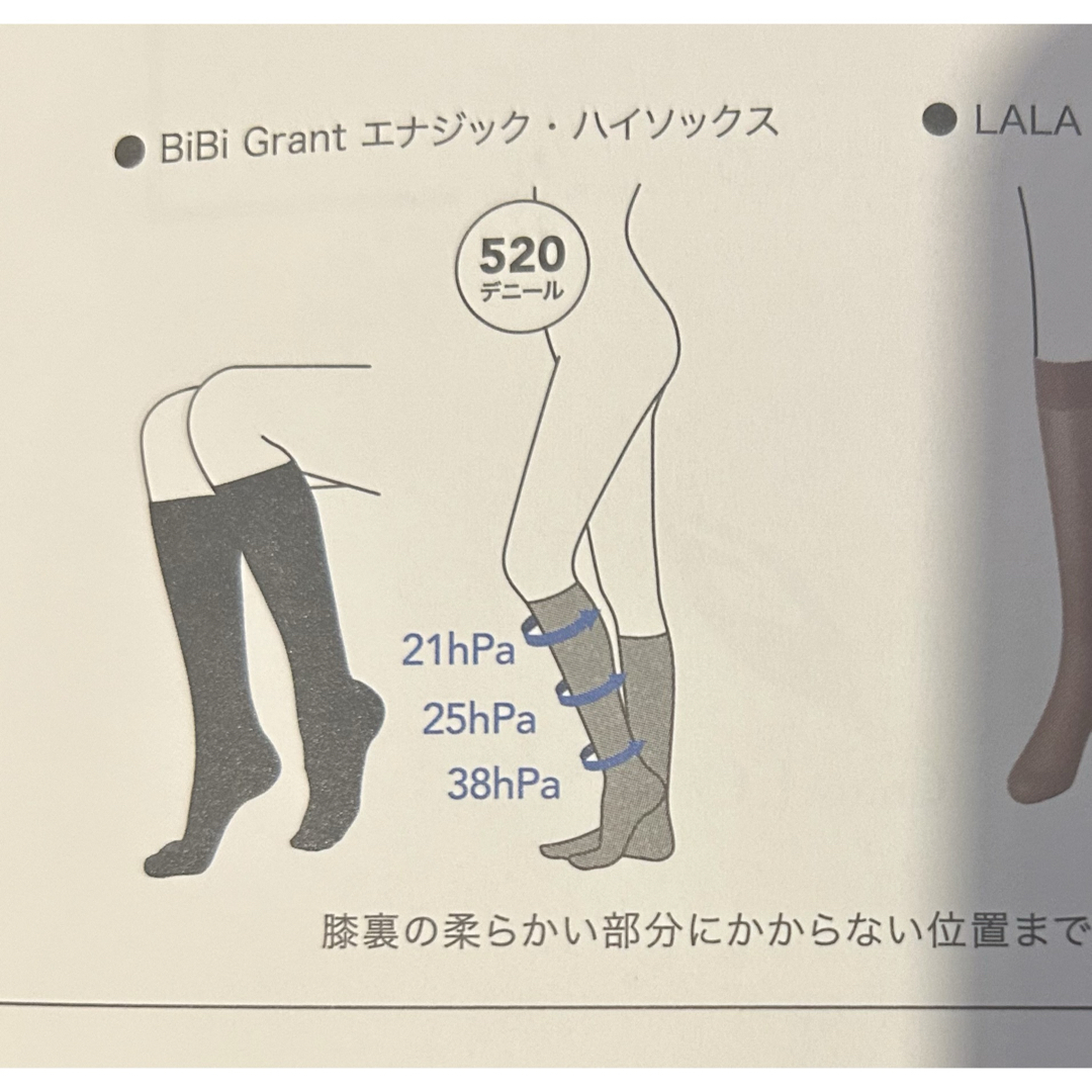 Grant E One's - グラントイーワンズ エナジックハイソックス Grant E One's - グラントイーワンズ エナジックハイソックス