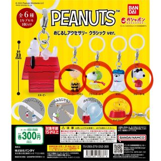 PEANUTS - サンディエゴ・コミコン限定 スヌーピー チャーリー PEANUTS - サンディエゴ・コミコン限定 スヌーピー チャーリー