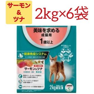 KIRKLAND - 未開封2袋○ドッグフード チキン ライス ベジタブル KIRKLAND - 未開封2袋○ドッグフード チキン ライス ベジタブル