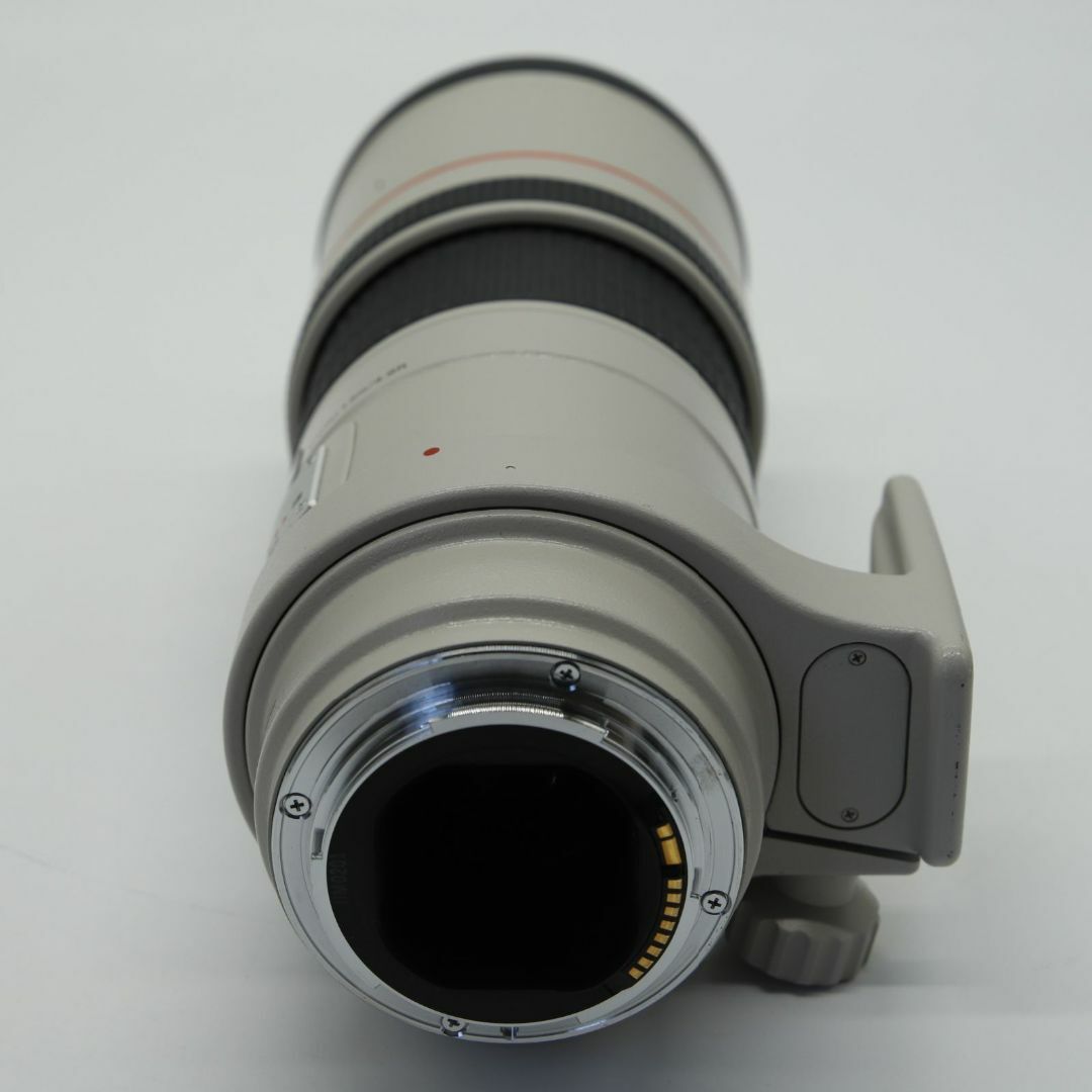 Canon - □美品□ EF 300mm F4L USM 高級単焦点レンズ カメラの Canon - □美品□ EF 300mm F4L USM 高級単焦点レンズ カメラの
