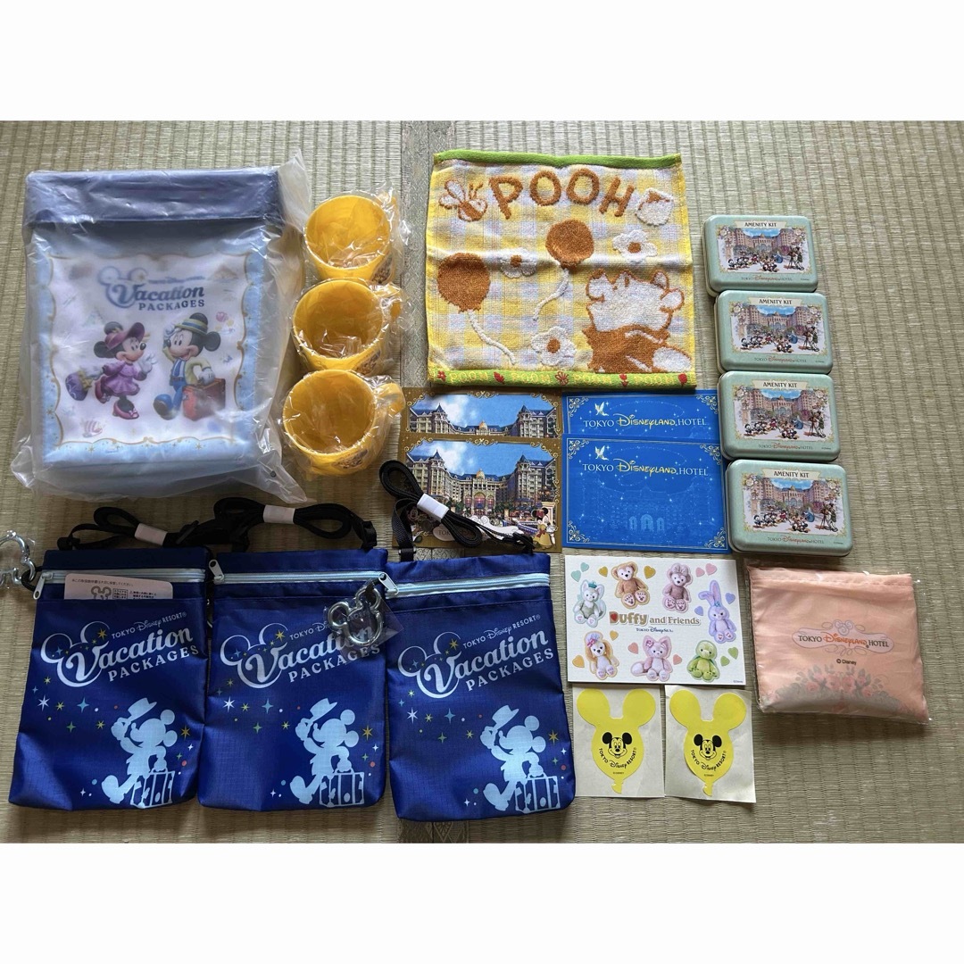 Disney - ☆新品☆ バケーションパッケージ ディズニーランド Disney - ☆新品☆ バケーションパッケージ ディズニーランド