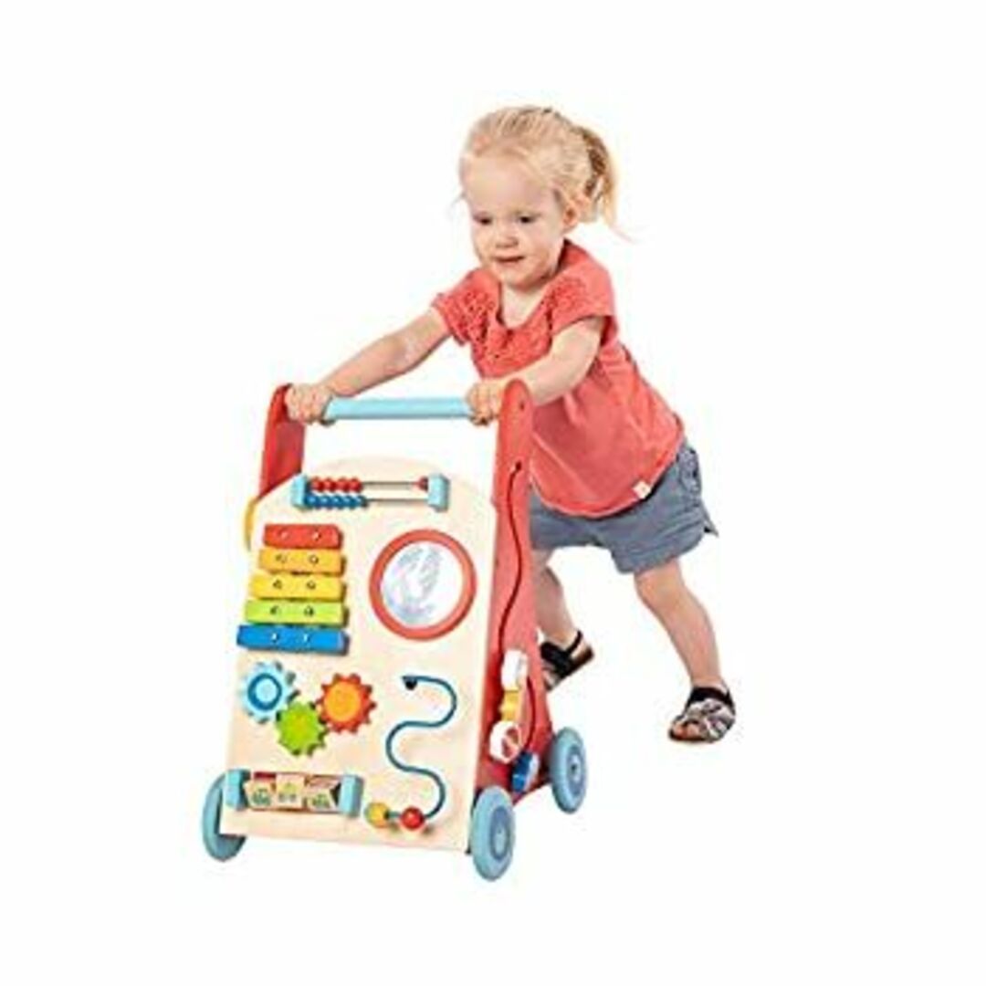 Fat Brain Toys ベビーウォーカー - 忙しいベビーデラックスウォーカー キッズ/ベビー/マタニティのおもちゃ(手押し車/カタカタ)の商品写真