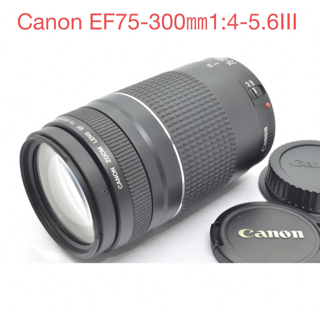 Canon - キャノン/ 望遠レンズ/Canon EF75-300㎜1:4-5.6Ⅲの通販 Canon - キャノン/ 望遠レンズ/Canon EF75-300㎜1:4-5.6Ⅲの通販