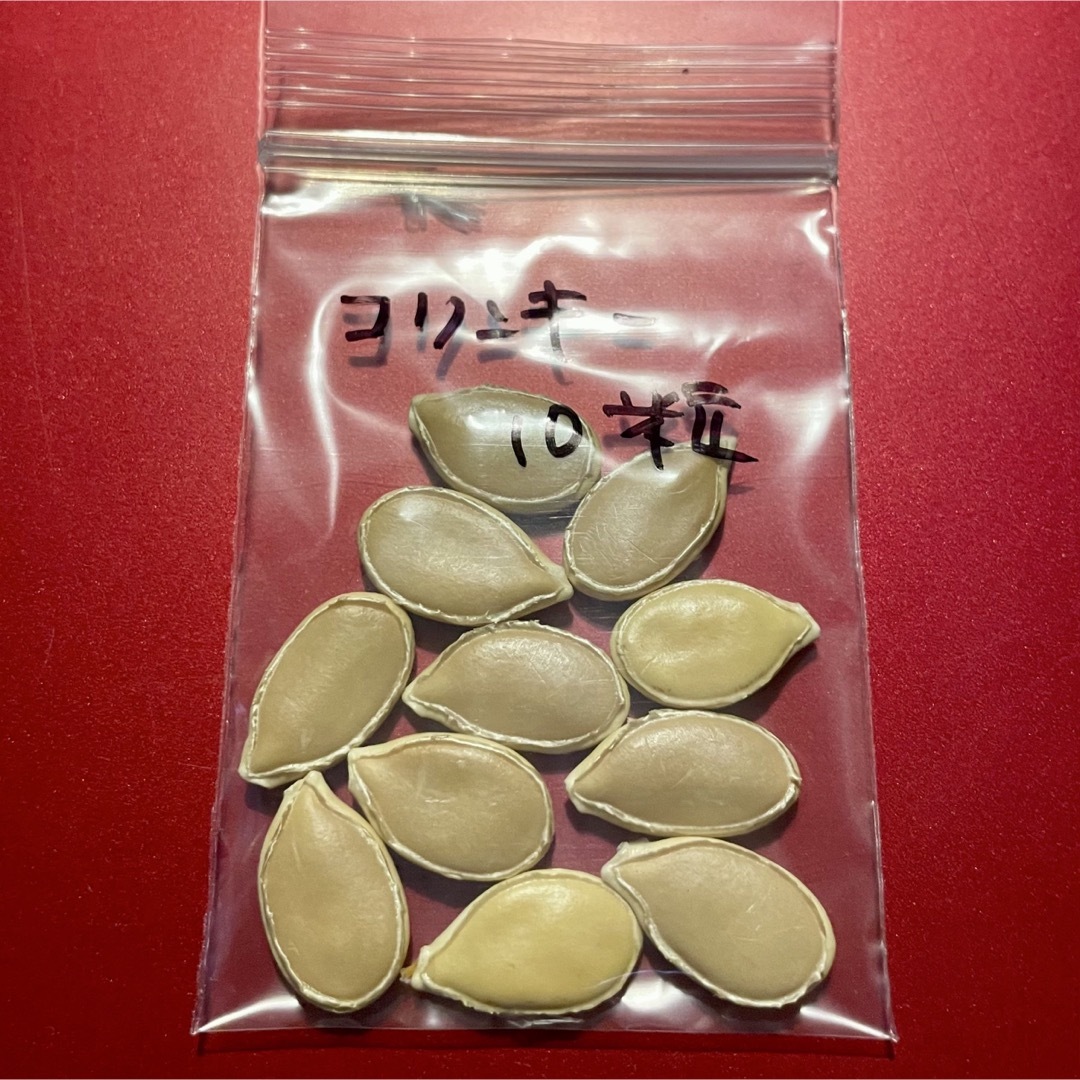 コリンキーの種子10粒と長冬瓜(トウガン)の種子20粒 無農薬 コリンキーの種子10粒と長冬瓜(トウガン)の種子20粒 無農薬