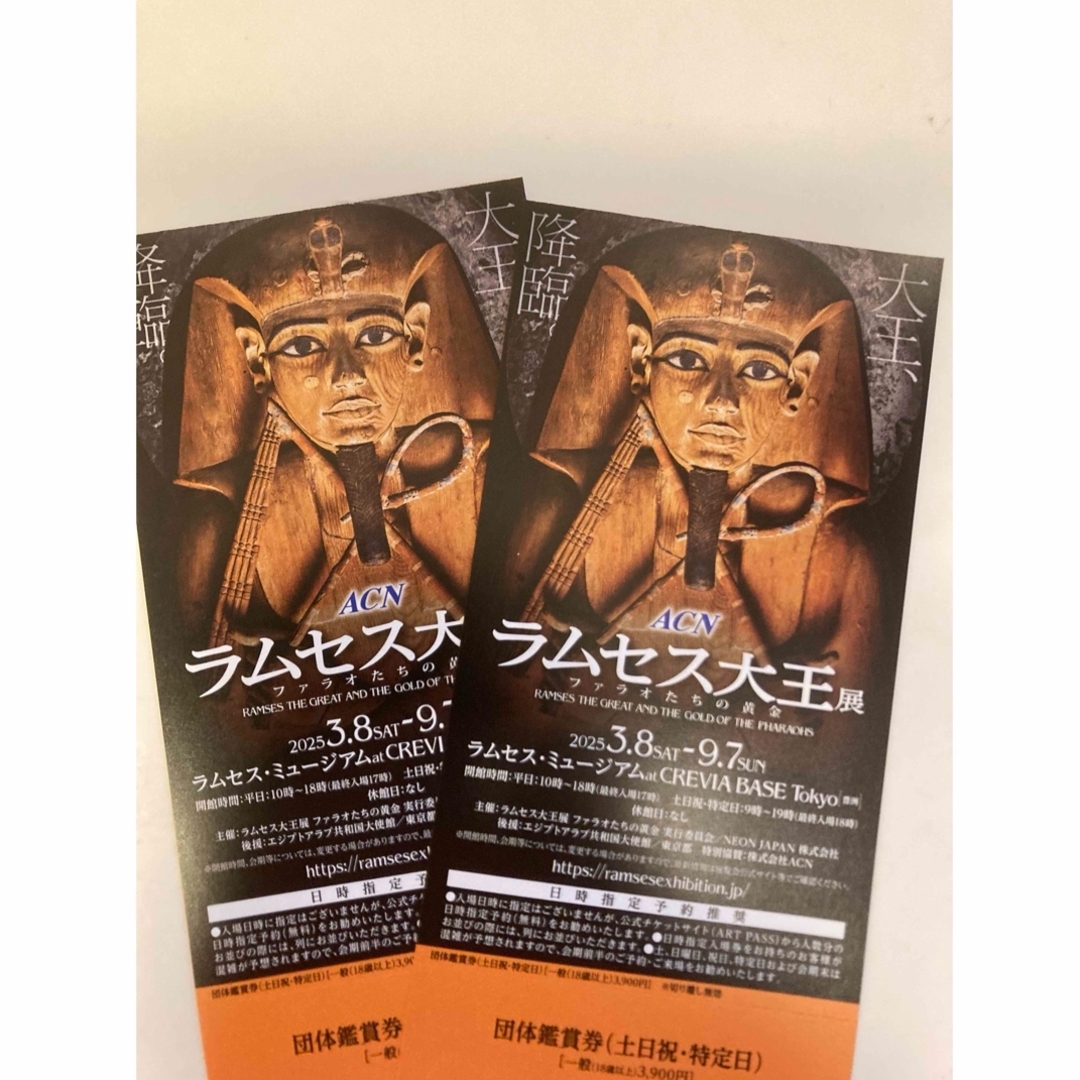 ラムセス大王展 一般2枚セット 土日祝日・特定日のみ使用可 チケットの施設利用券(美術館/博物館)の商品写真