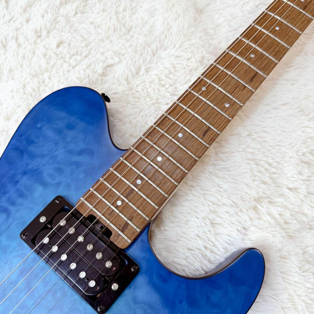 GrassRoots G-TB-55R グラスルーツ テレキャスター ブルーの通販 GrassRoots G-TB-55R グラスルーツ テレキャスター ブルーの通販