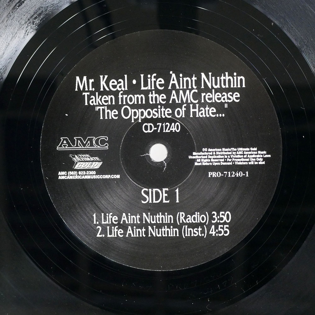 MR. KEAL/LIFE AIN'T NUTHIN/AMC AMERICAN MUSIC PRO71240 12 エンタメ/ホビーのエンタメ その他(その他)の商品写真