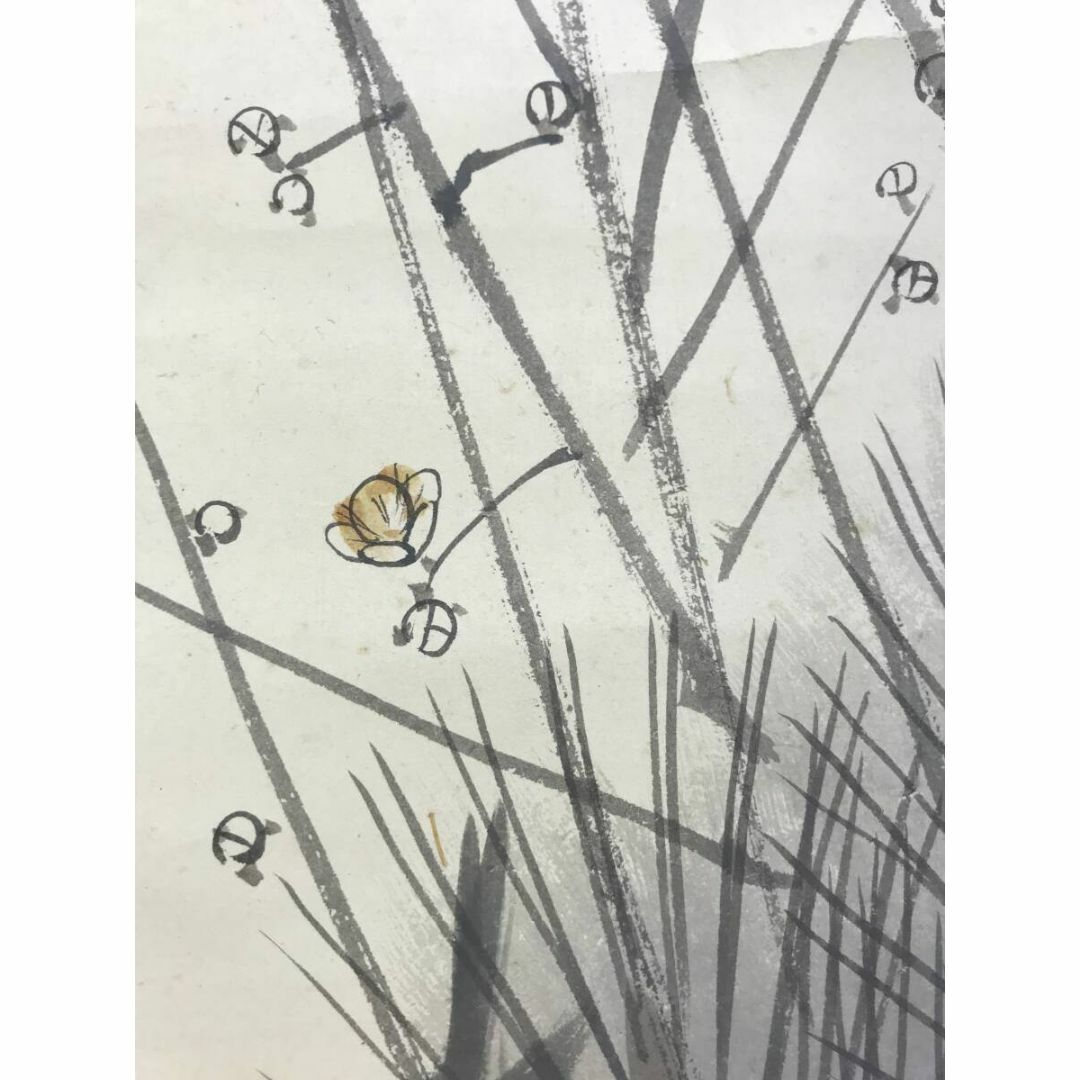 真作/春峰/早春図/松に蝋梅鴬図/花鳥図/鶯/小禽/掛軸☆宝船☆AF 真作/春峰/早春図/松に蝋梅鴬図/花鳥図/鶯/小禽/掛軸☆宝船☆AF