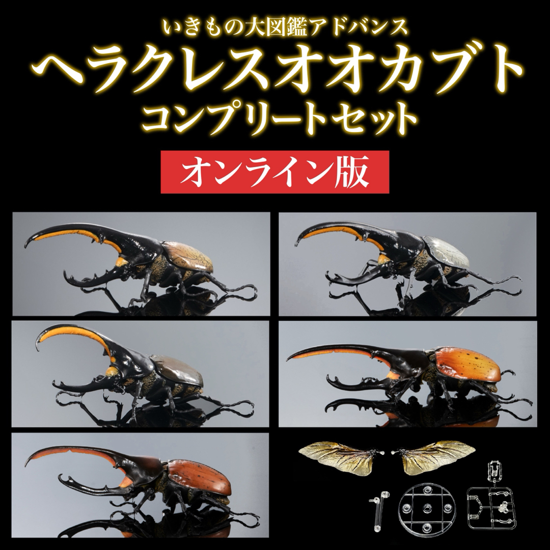 BANDAI - いきもの大図鑑アドバンス ヘラクレスコンプセット BANDAI - いきもの大図鑑アドバンス ヘラクレスコンプセット