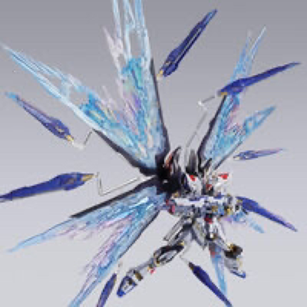 BANDAI(バンダイ)のMETAL BUILD ストライクフリーダムガンダム 光の翼オプションセット エンタメ/ホビーのおもちゃ/ぬいぐるみ(模型/プラモデル)の商品写真