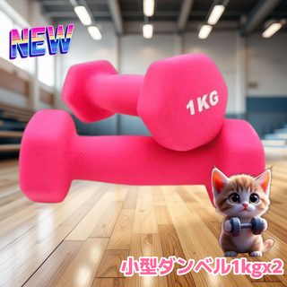 #558 小型 ダンベル 1kg 2個セット ピンク ※北海道沖縄離島配送料別(トレーニング用品)