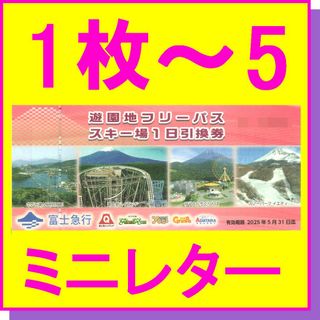 富士急ハイランド フリーパス ×5枚セット 富士急行 株主優待券 ぐりんぱ(遊園地/テーマパーク)