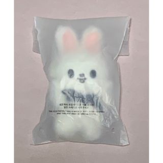 Stray Kids - ハン⭐️StrayKids MANIAC アンコン うちわケース Stray Kids - ハン⭐️StrayKids MANIAC アンコン うちわケース