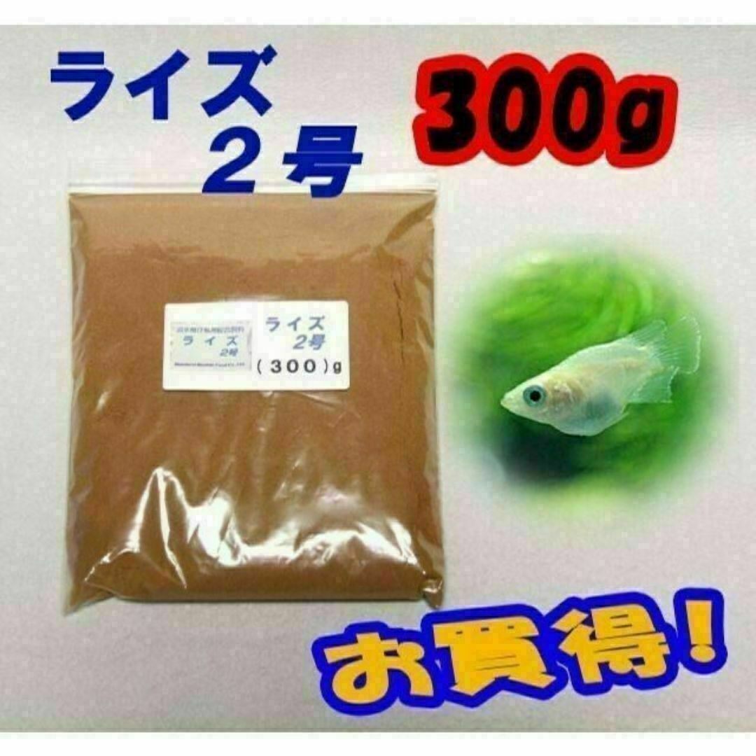 めだか の 餌 エサ◇ライズ2号 300g◇メダカ の えさ めだか の 餌 エサ◇ライズ2号 300g◇メダカ の えさ