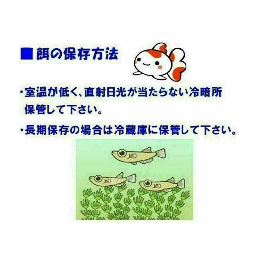 めだか の 餌 エサ◇ライズ2号 300g◇メダカ の えさ めだか の 餌 エサ◇ライズ2号 300g◇メダカ の えさ