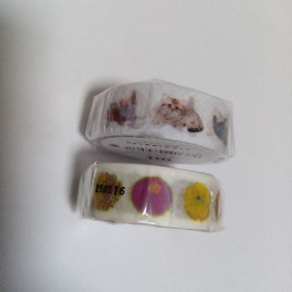 エムティー(mt)のmt 子猫、和菓子  マキシングテープ２個(テープ/マスキングテープ)