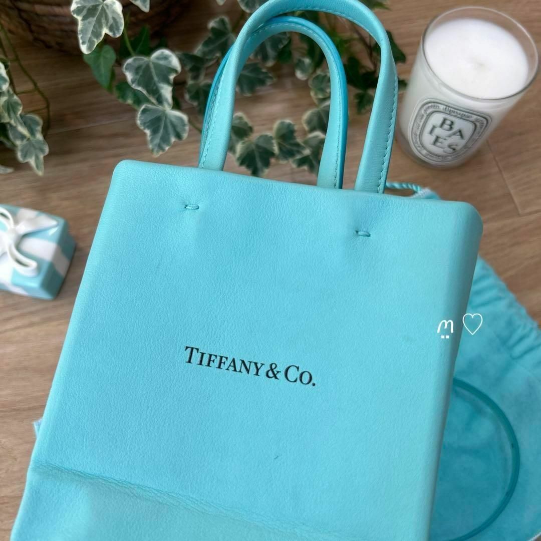 Tiffany & Co. - ティファニー ショッピングトートバッグ ミニ Tiffany & Co. - ティファニー ショッピングトートバッグ ミニ