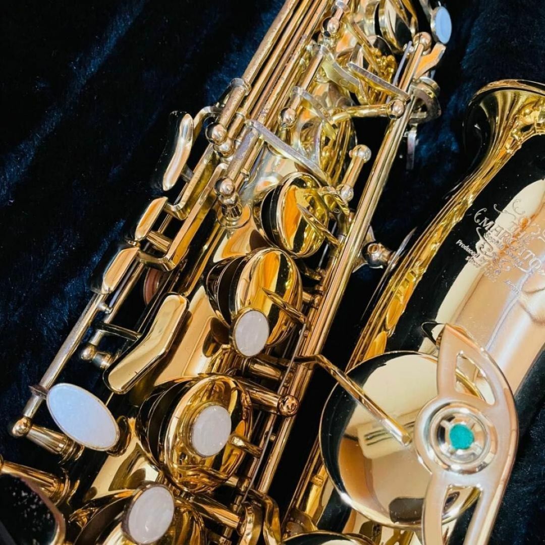 THE MARCATO SOPHIA SERIES アルトサックスの通販 by 【絶賛割引 THE MARCATO SOPHIA SERIES アルトサックスの通販 by 【絶賛割引